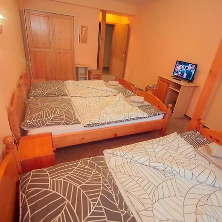 Moyzes Guest house *